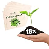 Panteer ® Kräutersamen - Kräutergarten & Küchenkräuter - Saatgut Kräuter und Gemüse - MADE IN GERMANY - Geschenke für Gartenfreunde