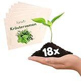 Panteer ® Kräutersamen - Kräutergarten & Küchenkräuter - Saatgut Kräuter und Gemüse - MADE IN GERMANY - Geschenke für Gartenfreunde