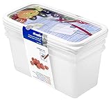 Rotho Domino 3er-Set Gefrierdosen 1.5l mit beschreibbarem Motiv auf dem Deckel, Kunststoff (PP) BPA-frei, weiss, 3 x 1.5l (23.3 x 11.8 x 11.2 cm)