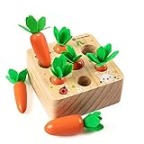 Holzspielzeug ab 1 Jahr | Baby Motorik Spielzeug für 12 Monate Jungen und Mädchen | Montessori Sortierspiel Holzpuzzle Karottenernte | Lernspielzeug für Kinder als Geburtztag Geschenk