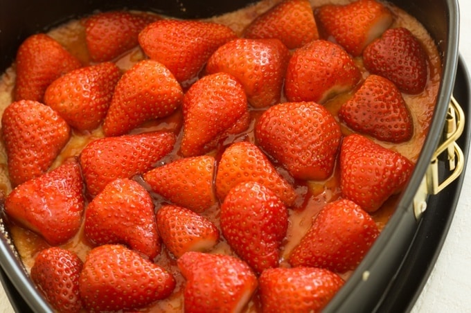 So sieht der Boden mit den Erdbeeren aus, bevor er mit der Käsekuchenmasse übergossen wird.