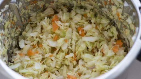 Kohl und Karotten für Krautsalat im Thermomix zerkleinert
