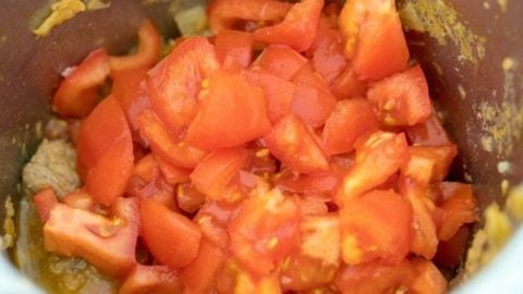 Tomaten im Thermomix