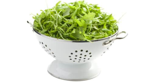 Ruccola waschen