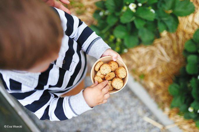 Mix Rezepte für Babys und Kleinkinder Haferflockenkekse