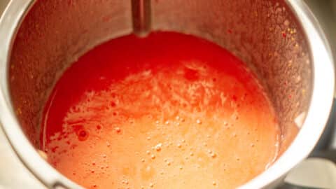 Erdbeeren mixen im Thermomix