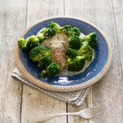 Varoma Lachsfilet mit Brokkoli und Senfsauce aus dem Thermomix®