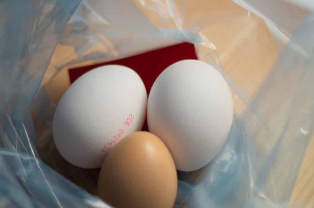 Ostereier Thermomix®: Kochen + Färben in einem Schritt 8 eier und farbplaetchen in gefrierbeutel
