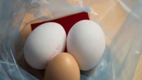 Eier mit Farbplätchen in Gefrierbeutel
