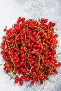 Johannisbeeren frisch gepflückt