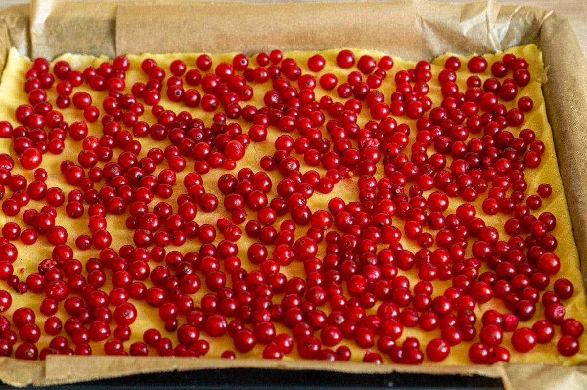 Johannisbeerkuchen Thermomix® Teig mit Johannisbeeren belegt