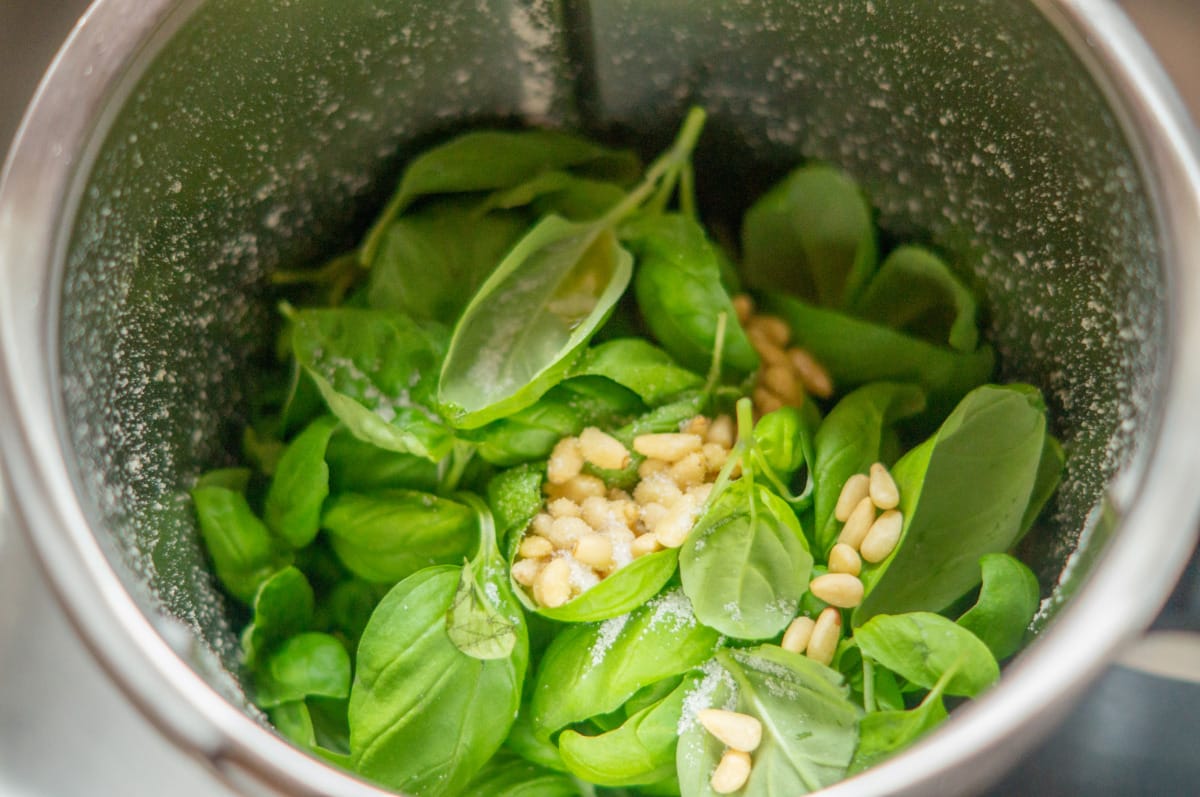 Pinienkerne und Basilikum im Thermomix zerkleinern