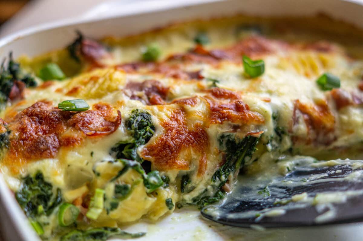 Spinat im Thermomix® · Saison plus 10 Rezepte 10 Gnocchi-Auflauf aus dem Thermomix®