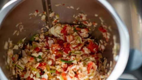 Zutaten Gyros-Salat zerkleinert im Mixtopf