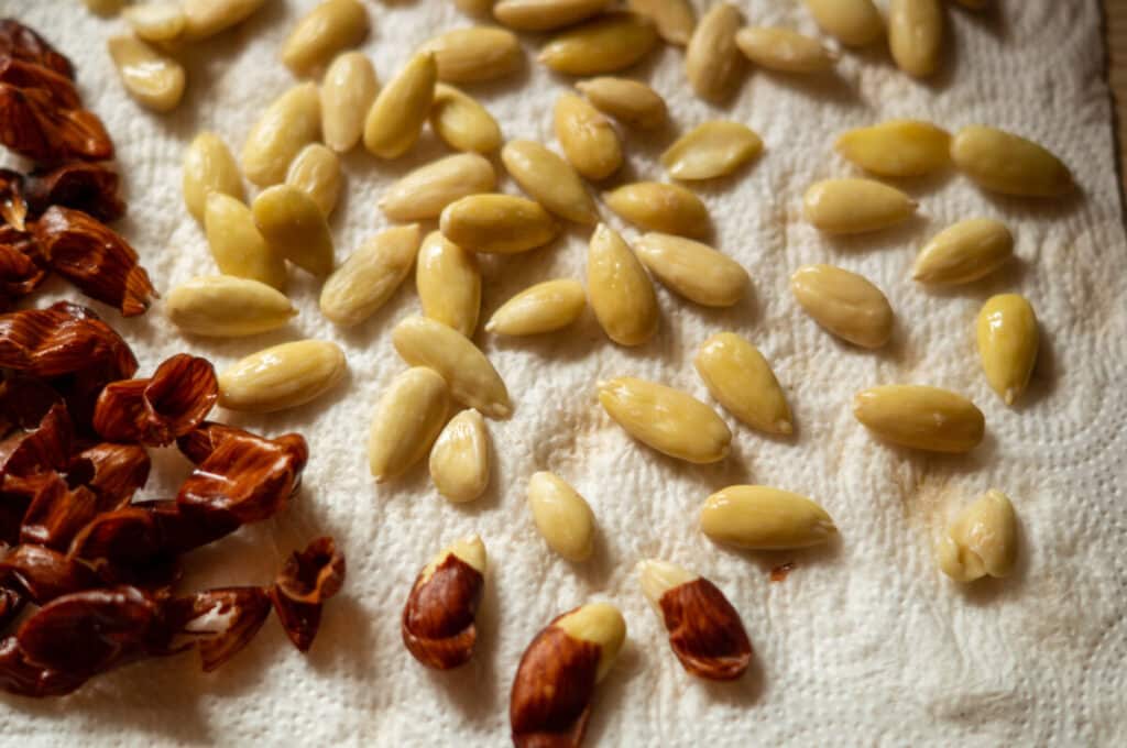 Mandeln blanchieren Thermomix®: 8 Min, Linkslauf 7 mandeln blanchieren schaelen thermomix