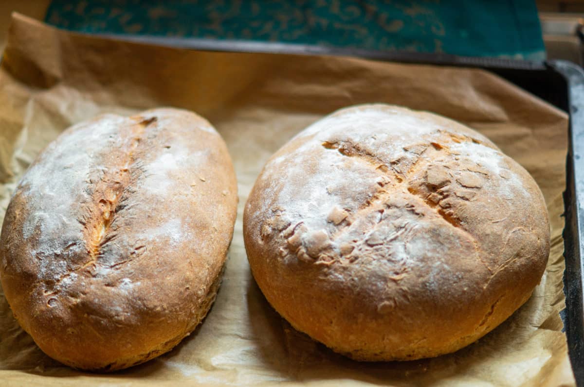 Leckeres Hausbrot (Mischbrot) aus dem Thermomix® • will-mixen.de