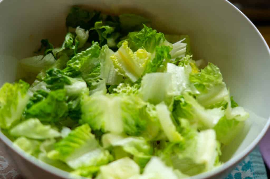 Salat mit gebratenem Hähnchenfilet aus dem Thermomix® 15 salatherz