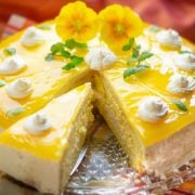 Solero-Torte aus dem Thermomix®