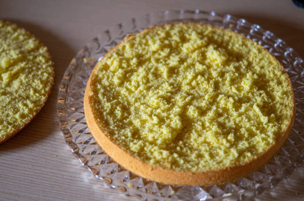 Solero-Torte Thermomix®: 12 Stück, Maracuja, Sommer-Hit 18 tortenboden waagerecht durchschneiden