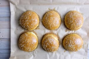 Hamburger Brötchen aus dem Thermomix®