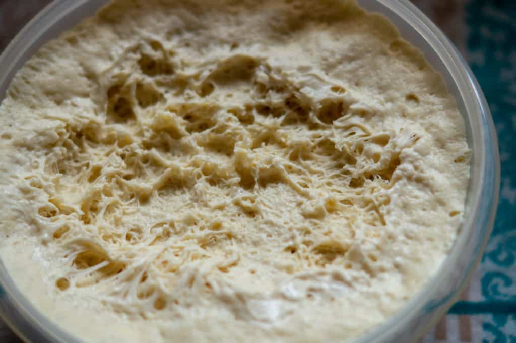 Sonntagsbrötchen Thermomix®: 8 Stück, 8 Std Übernachtgare 12 hefeteig nach gehen 6