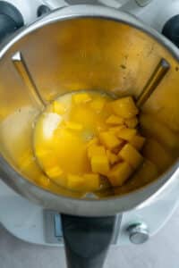 Mango und Orangesaft im Mixtopf