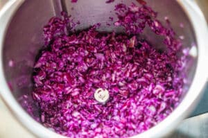 Zwiebeln und Rotkohl hacken im Thermomix