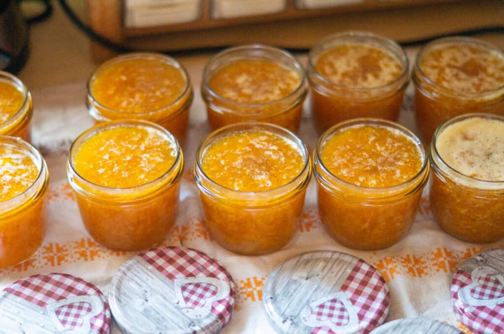 Aprikosenkonfitüre Thermomix®: 10 Gläser, 1,6 kg Aprikosen, 8 aprikosenmarmelade abfuellen