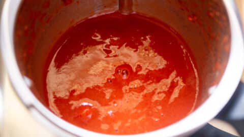 Fertiges Erdbeerketchup im Mixtopf