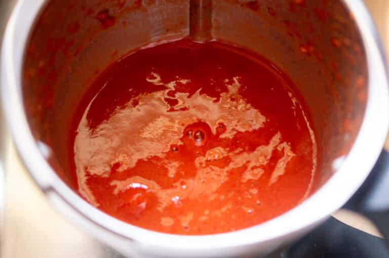 Erdbeerketchup aus dem Thermomix® • will-mixen.de Erdbeerketchup aus dem Thermomix® • will-mixen.de
