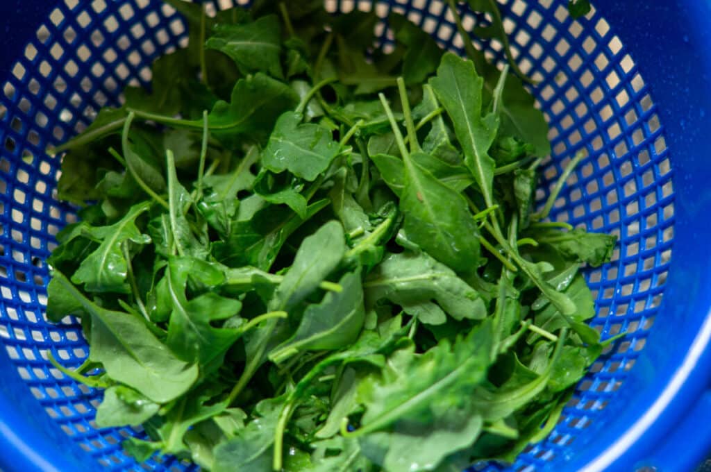 Tortellini-Salat Thermomix: dampfgegart statt matschig 13 rucola waschen