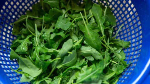 Rucola waschen