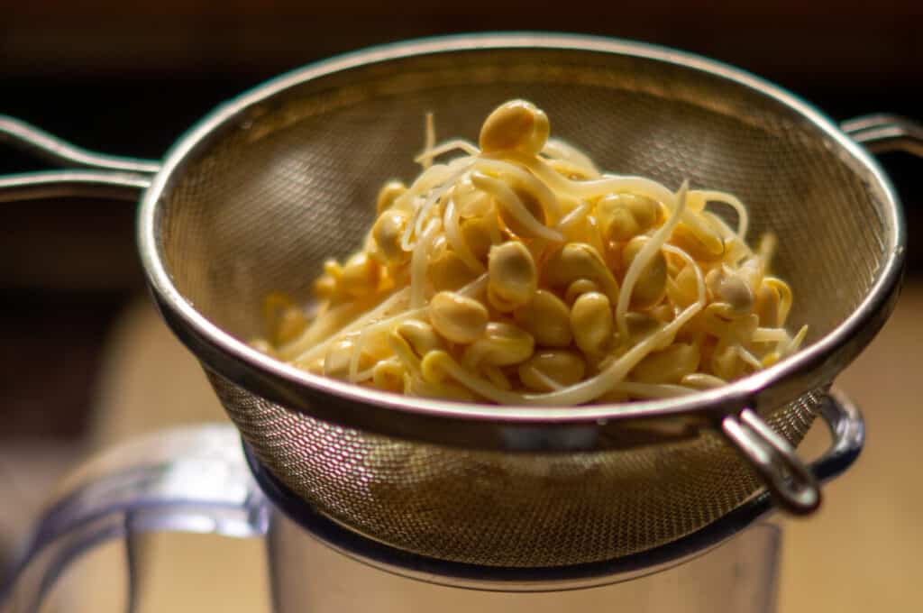 Asia Hähnchen süß-sauer Thermomix®: 1:1 Zucker zu Essig 12 soja sprossen abtropfen lassen