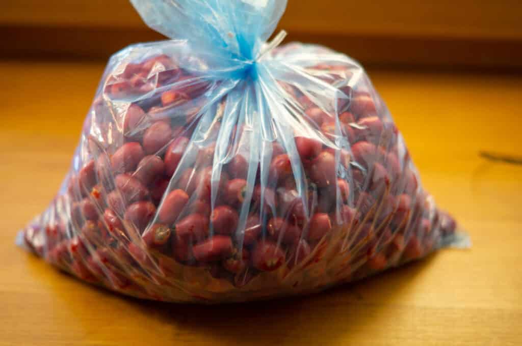 Hagebuttenmarmelade Thermomix®: 1,3 kg, mit Frost-Trick 6 hagebutten einfrieren