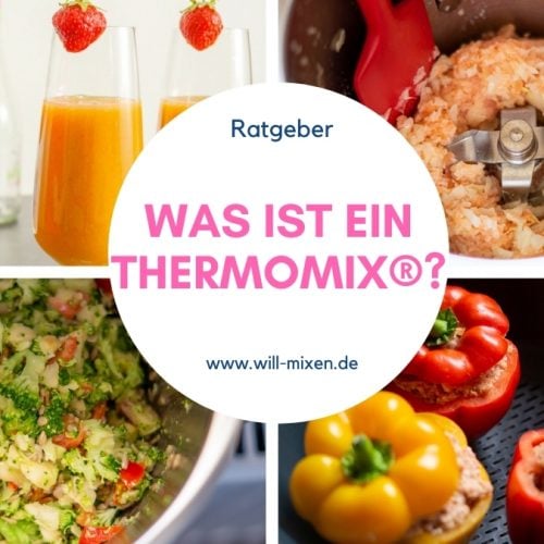 Was ist eigentlich ein Thermomix®??