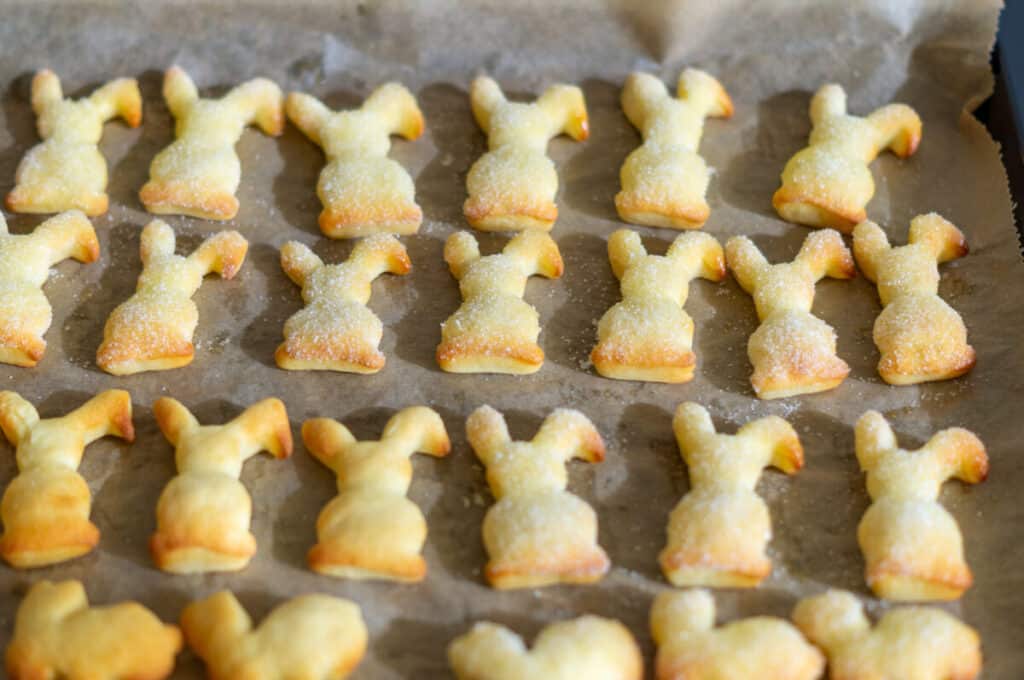 Quark-Öl-Hasen aus dem Thermomix® 11 quarkoelhasen mit butter zucker