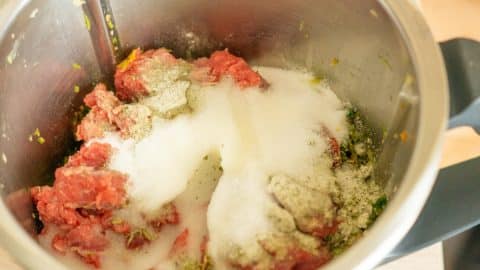 Fleisch und Salz im Thermomix