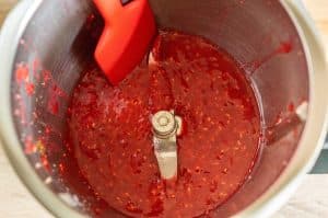 Himbeeren püriert im Thermomix