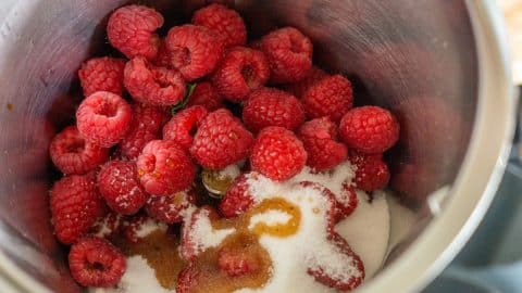 Himbeeren, Zucker, Vanilleextrakt im Thermomix®