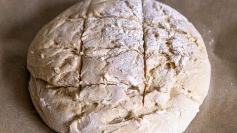 Kartoffelbrot auf Backblech formen