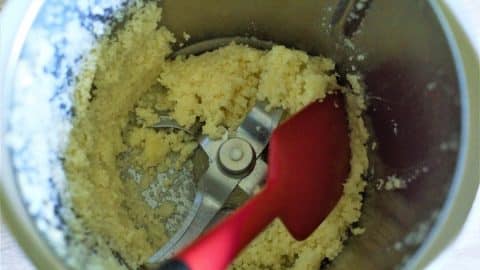 Parmesan, Apfel, Zitronensaft im Thermomix