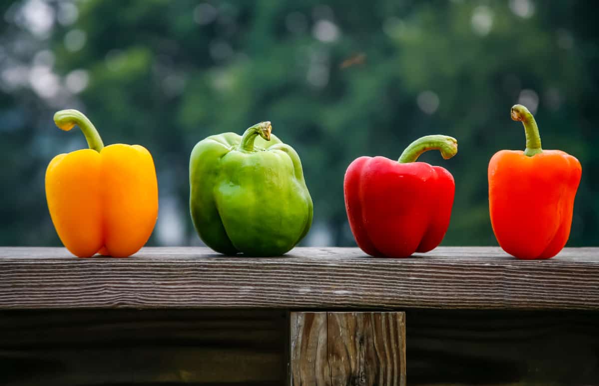 Die Farben der Paprikaschoten erklärt