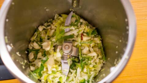 Chili, Ingwer, Sellerie und Frühlingszwiebel im Thermomix