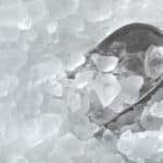 Eis crushen im Thermomix®