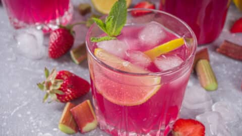 Erdbeer-Rhabarber-Gin aus dem Thermomix® auf Eis, mit Minze, Erdbeeren und Rhabarbersücken