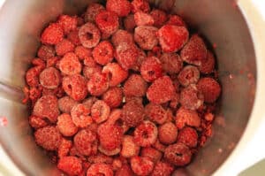 Himbeeren im Thermomix®