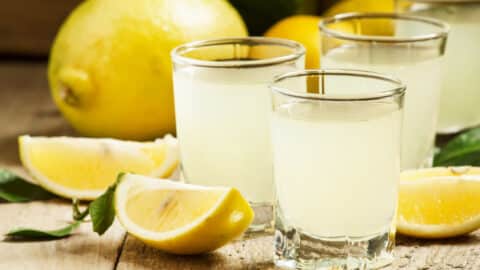 Limoncello aus dem Thermomix®