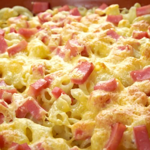 Nudel-Schinken-Gratin aus dem Thermomix® Rezept