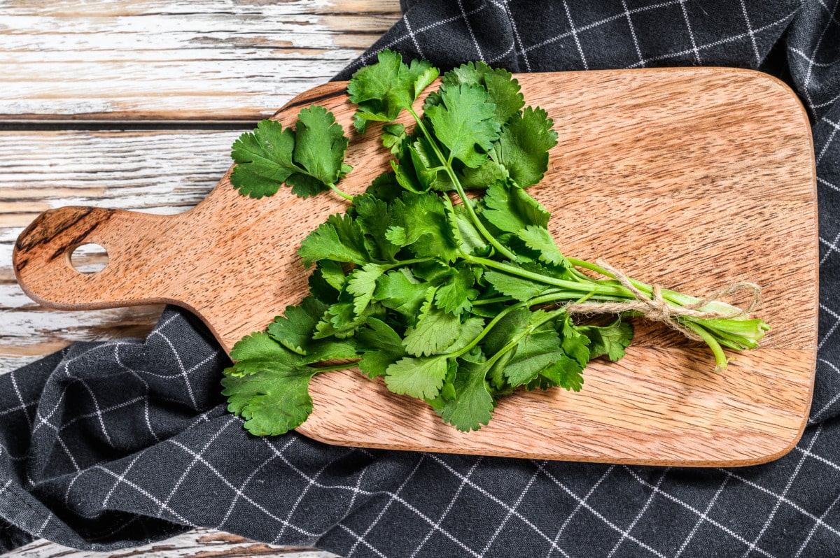 Rotes Hähnchencurry Thermomix: Paste erst bei 90 °C 6 Koriander zerkleinern
