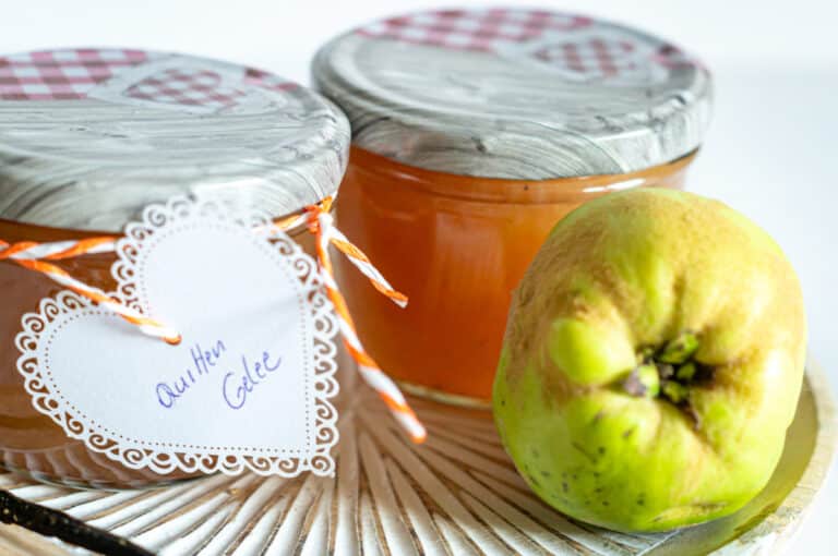 Quittengelee aus dem Thermomix®